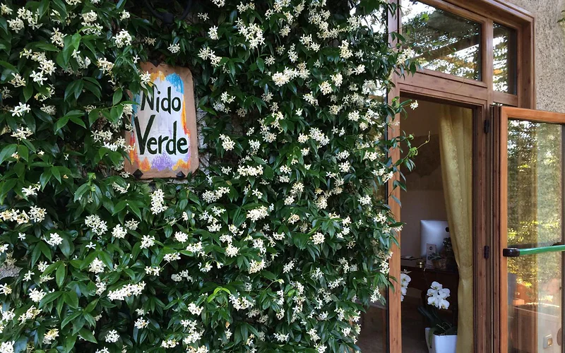Hotel Nido Verde photo 2