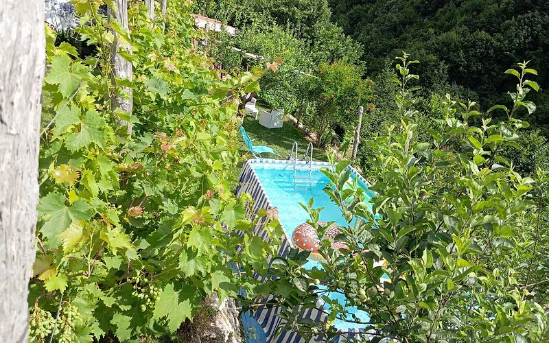 Casa Mia, Confortevole, Pratica, Nella Natura con Piscina e Vasca Idromassaggio