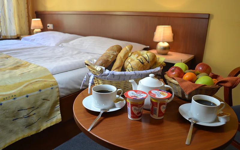 Aparthotel Austria Suites photo 3