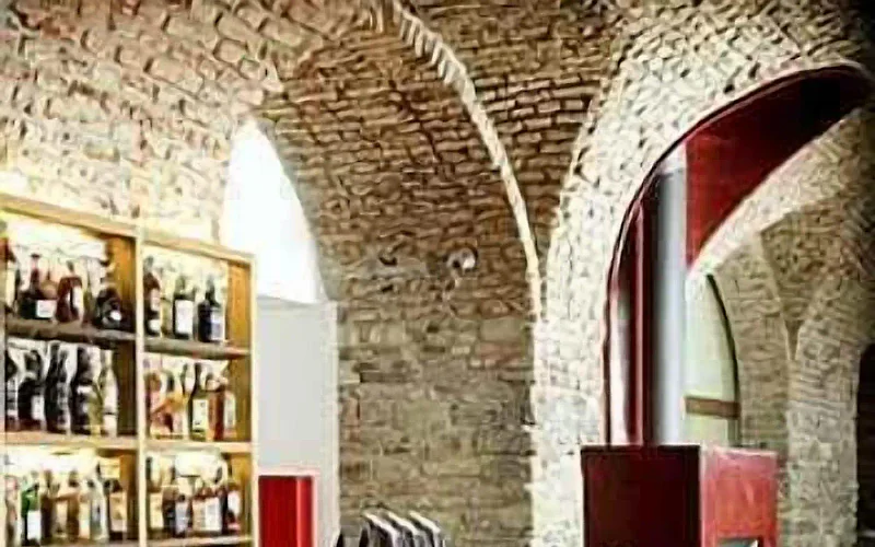 Aparthotel Austria Suites