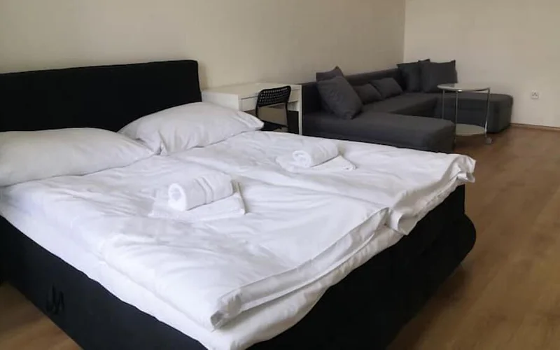 Family central apartment