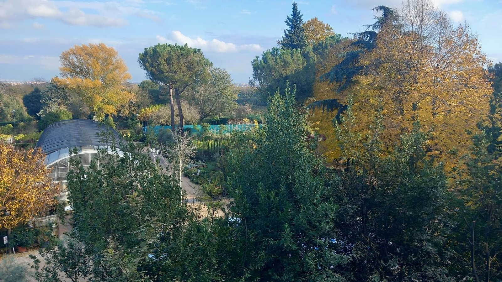 Roma Capitale B&B photo 3