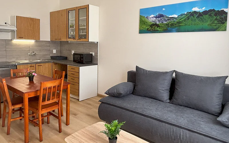 Prague Deluxe City Center Apartment