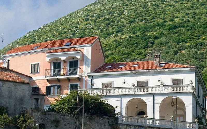 Farfalle e Gabbiani