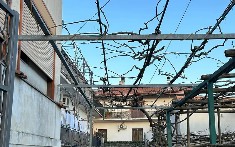 vecchio west