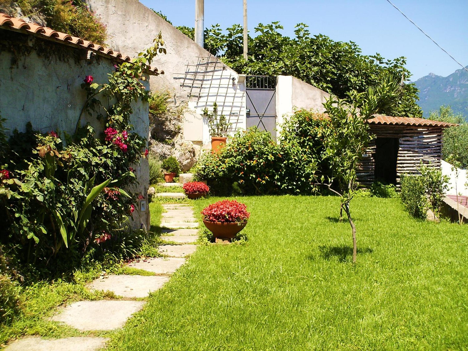 b&b I Limoni photo 3