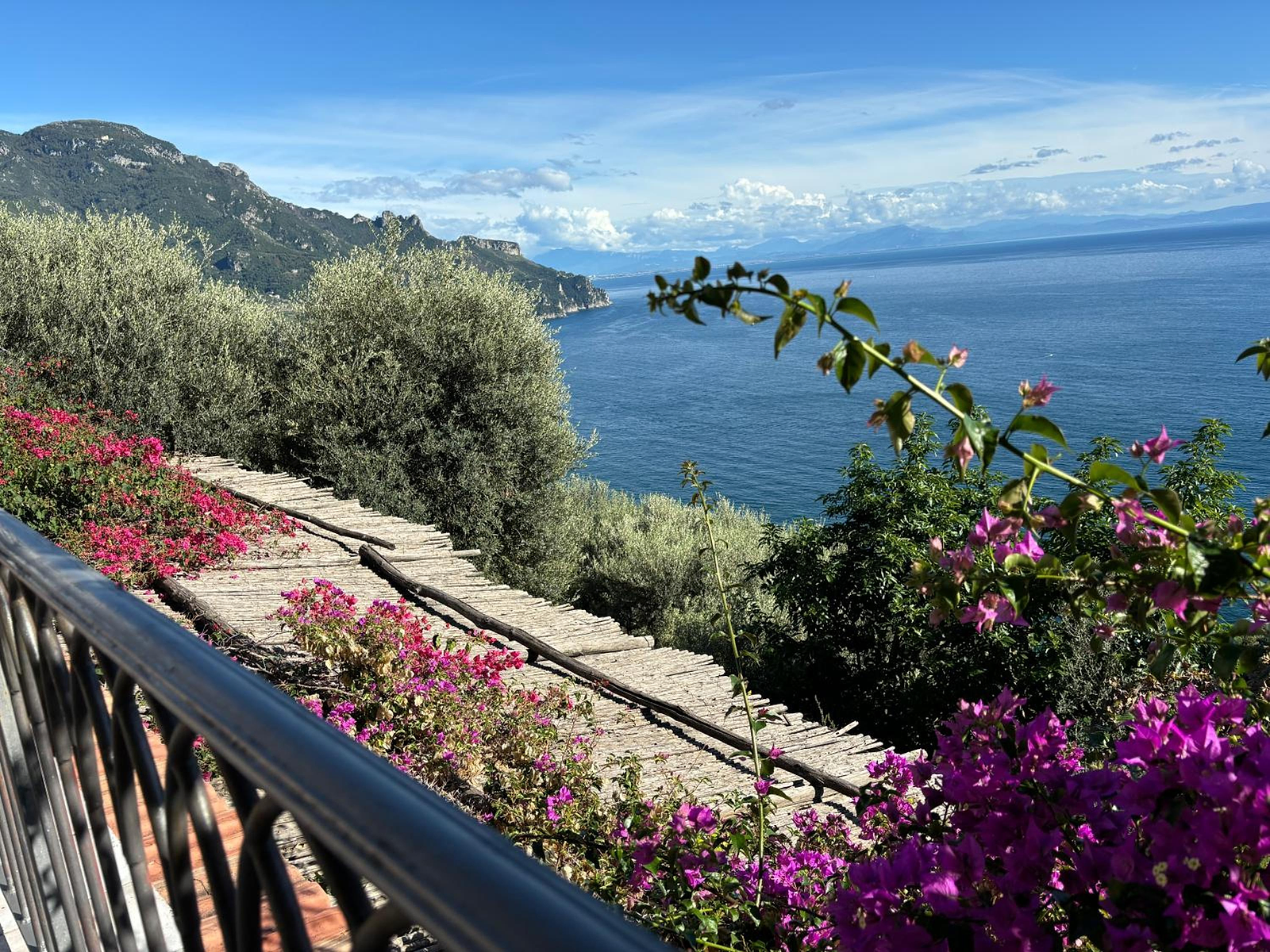 b&b I Limoni photo 2