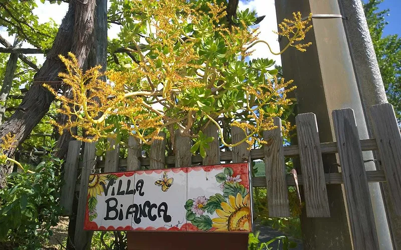 Villa Bianca photo 3