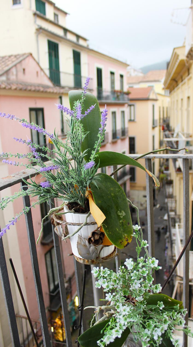 B&B Katerine photo 3
