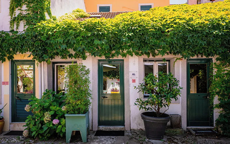 Casa do Patio by Shiadu photo 3