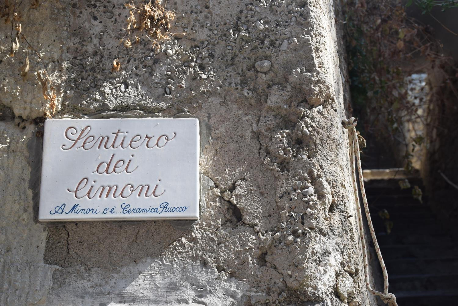 Torre Elisea photo 2