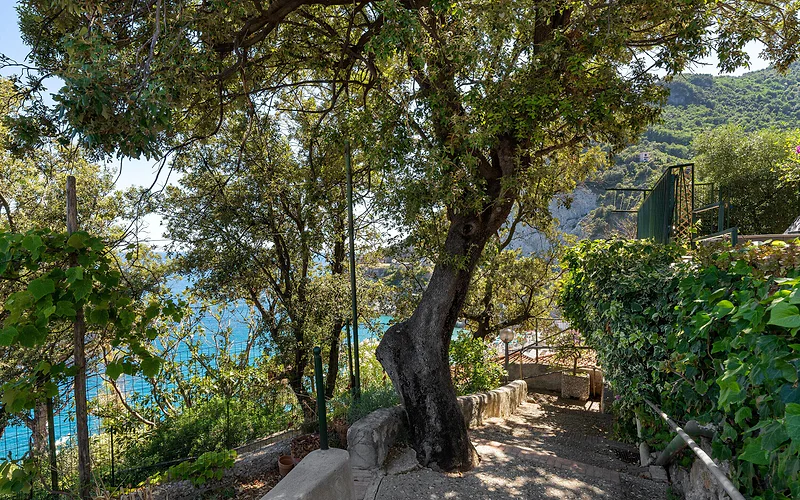 'Green Amalfi Coast' Apartment with Sea View, Wi-Fi and Air Conditioning
