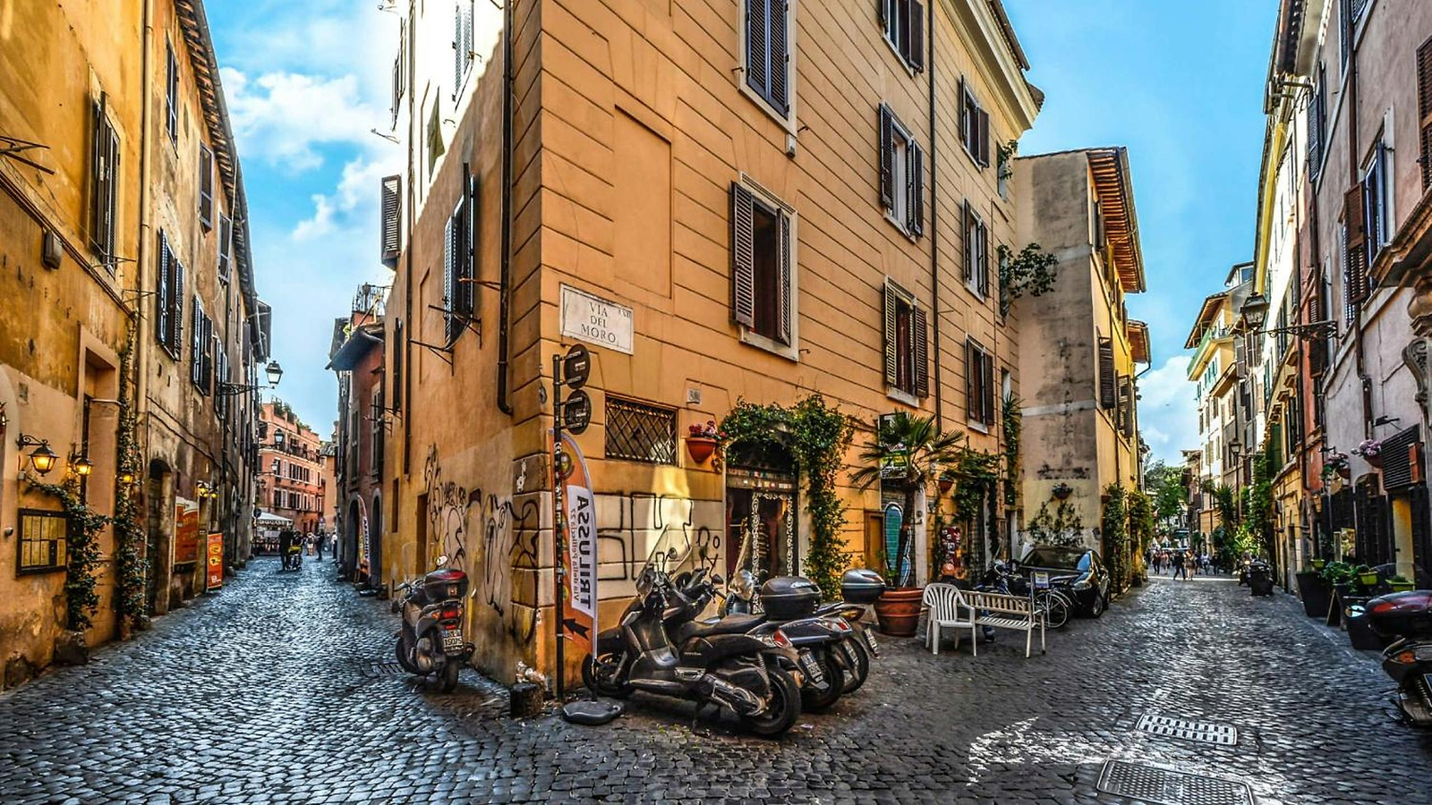 TrustEverVito photo 2