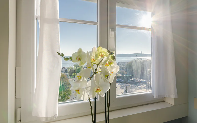 Lx Boutique Hotel