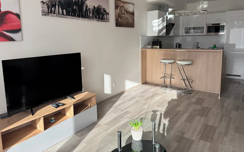 Spacious 2BR + balcony in Prague I Comfort & Style. photo 3