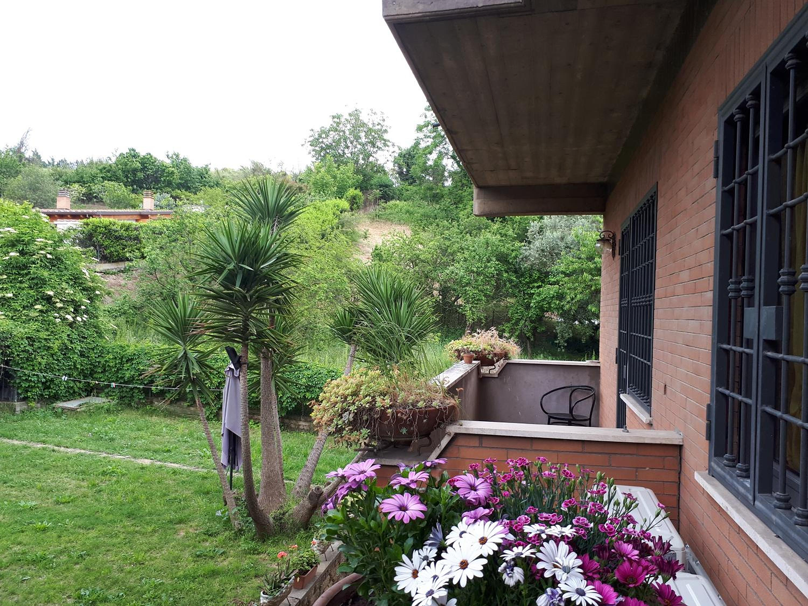 B&B Papa Leone Countryrooms photo 2