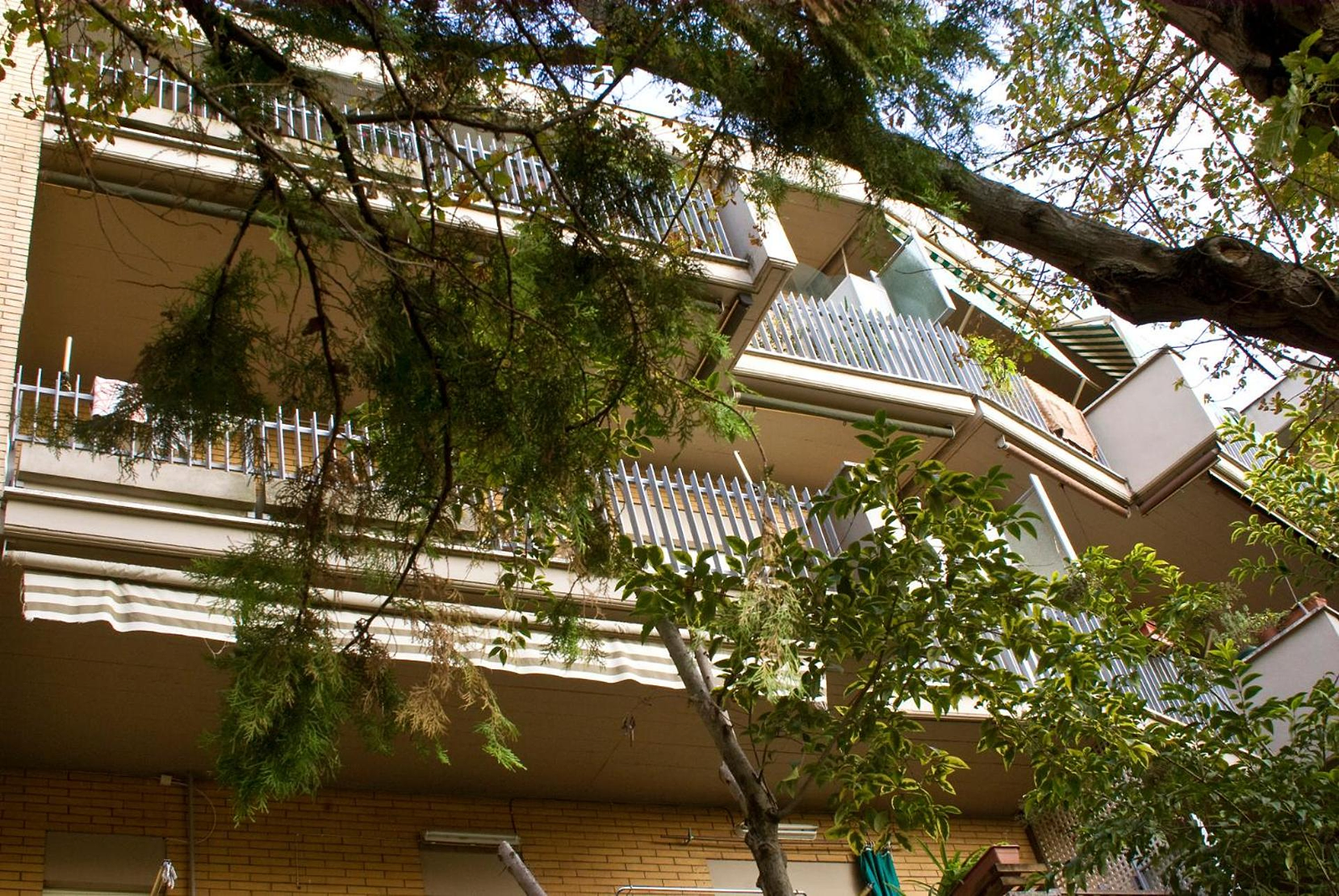 B&B Agliarvali photo 3