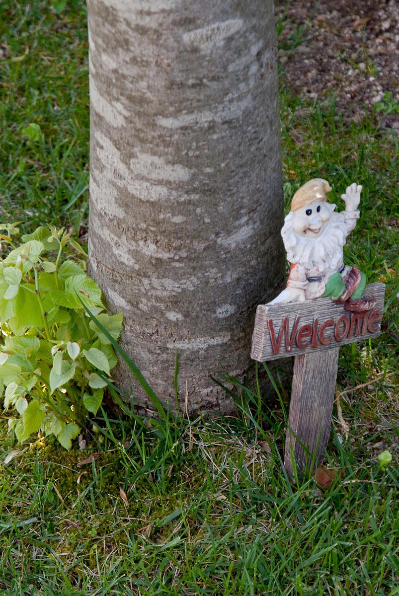 Il Roseto B&B photo 2