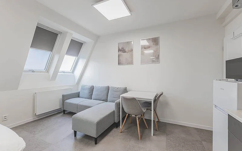 Zizkov flat/skyline views/AC/Kitchen, new bathroom
