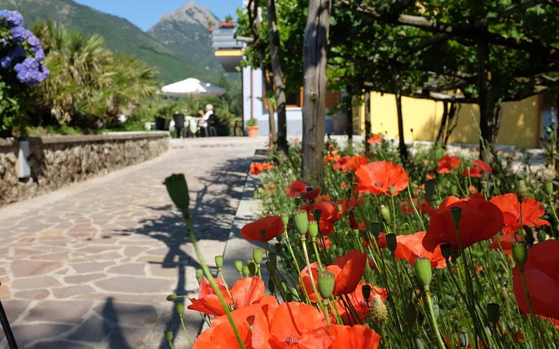 Villa Elisa