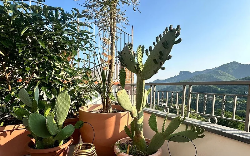 Fabulous Apartment in Enjoyable Tramonti on the Amalfi Coast
