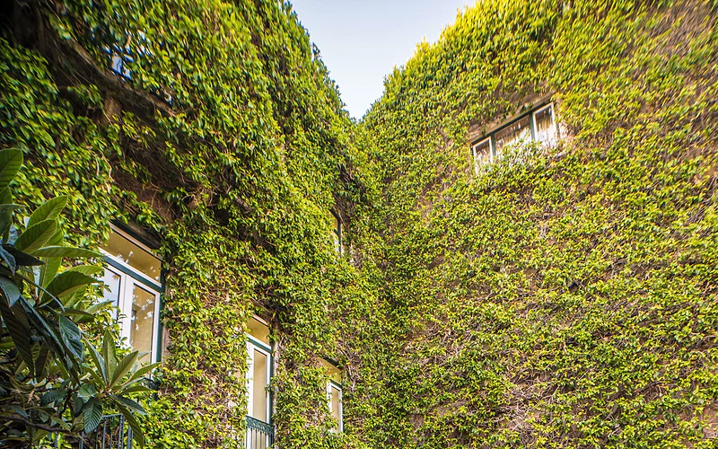 As Janelas Verdes Inn, a Lisbon Heritage Collection