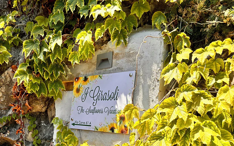 Apartment "The Sunflowers"
