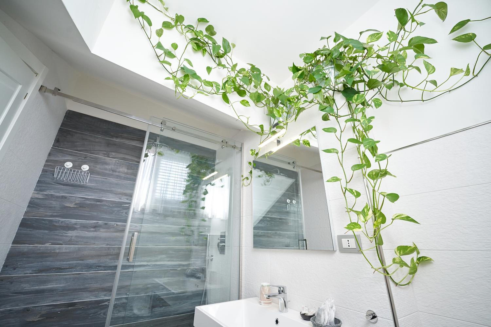 B&B Milleduecento Luxury Room photo 2