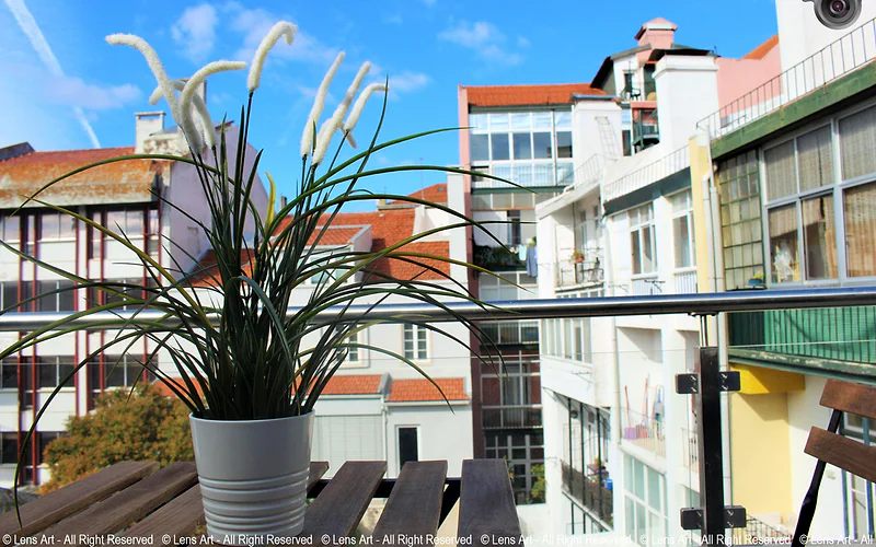 Universo Romântico Guesthouse & Spa photo 3
