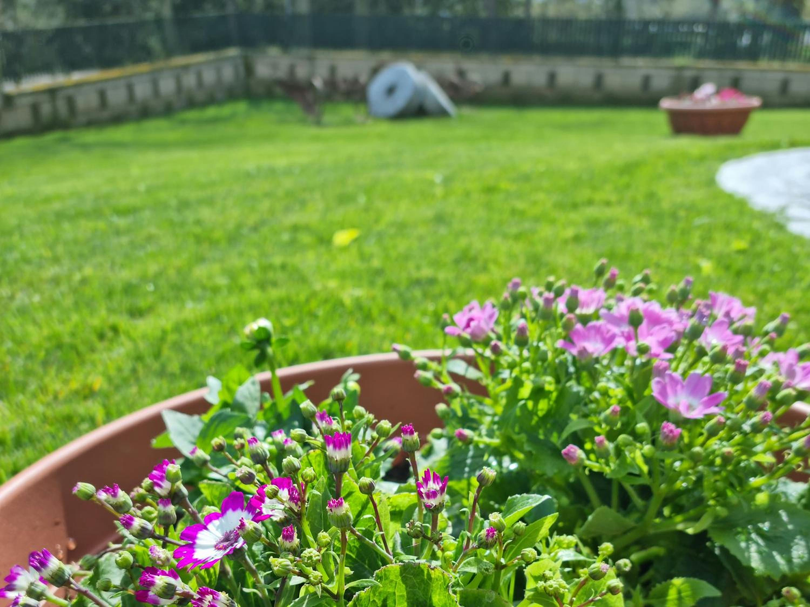 Il Casale nel Parco Guesthouse photo 3