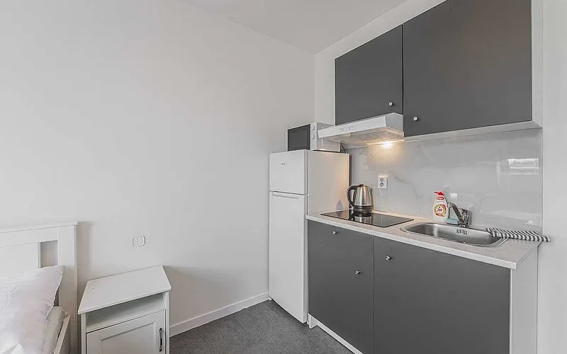 Zizkov flat/skyline views/AC/Kitchen, new bathroom photo 3