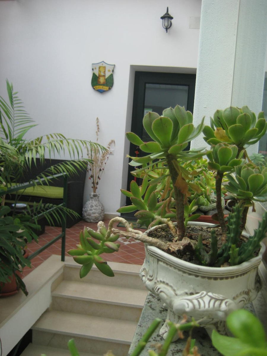Dint'a Torre Bed and Breakfast photo 3