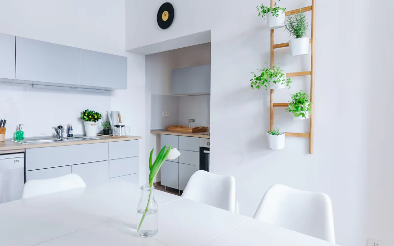 CHILL Apartments photo 3