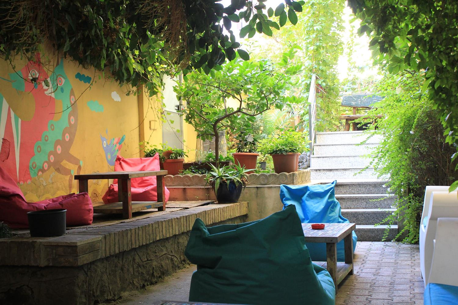 The Beehive Hostel photo 3