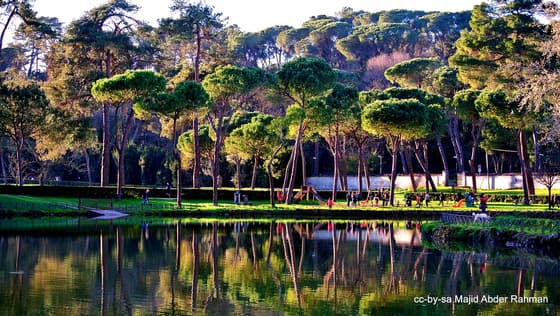 Villa Ada photo 2