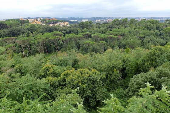 Villa Ada photo 3