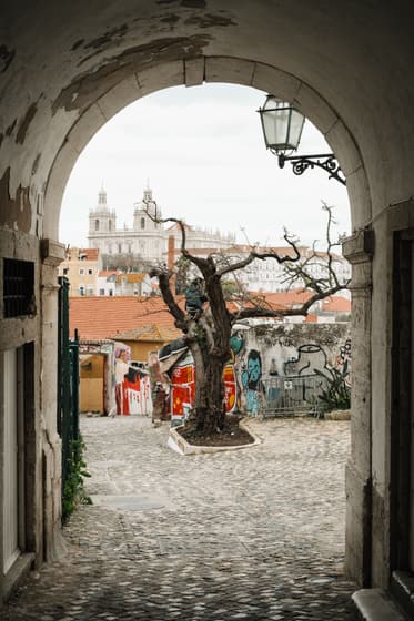 Alfama Cellar photo 3