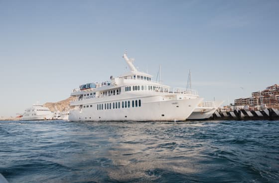 Marina Cabo San Lucas photo 3
