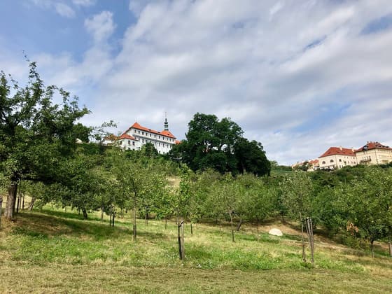 Strahov Monastery Complex photo 3