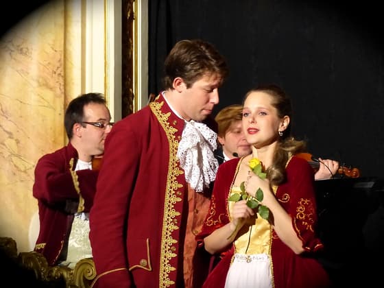 Mozart Dinner Opera photo 2