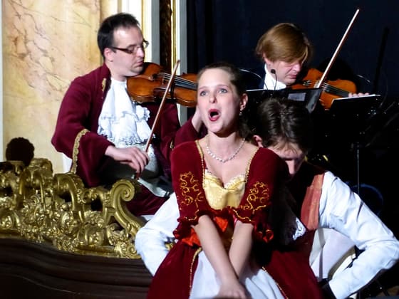 Mozart Dinner Opera photo 3