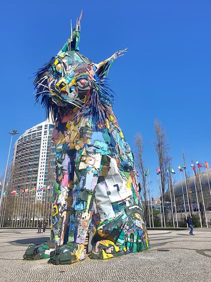 Lince Iberico - Bordalo II photo 3