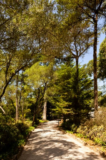 Parque Florestal De Monsanto photo 3