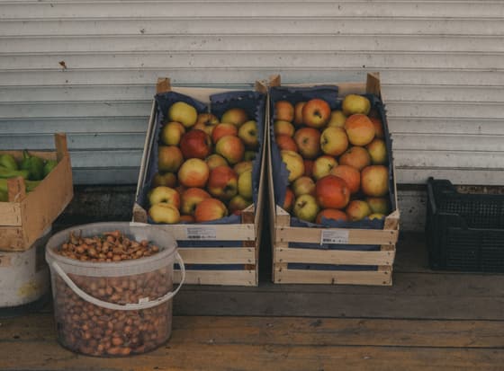 Farmer's market Kuban photo 2