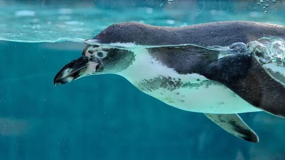 Downtown Aquarium photo 3