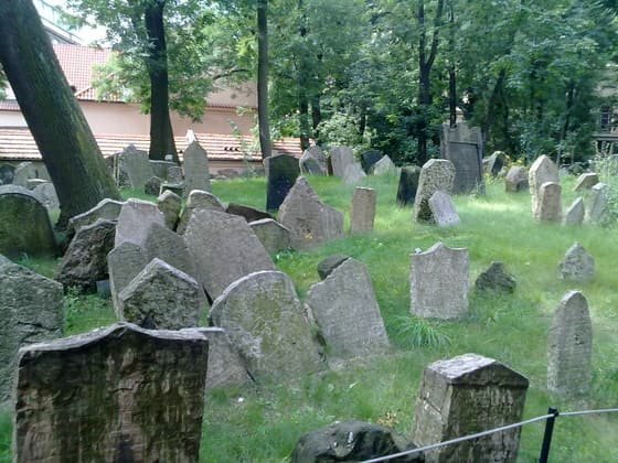 Old Jewish Cemetery photo 3