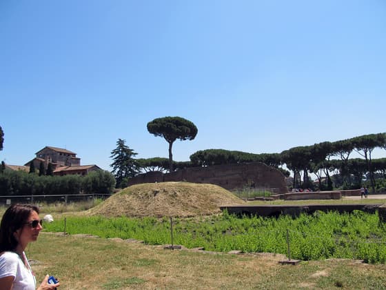Domus Augustana photo 3