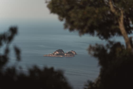Li Galli photo 3