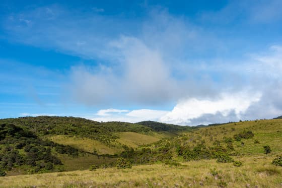 Horton Plains National Park photo 2