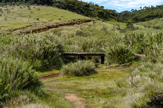 Horton Plains National Park photo 3